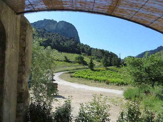 Villa Domaine De Cassan Lafare Esterno foto